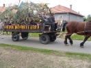 Szüreti bál 2010_51