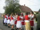 Szüreti bál 2010_92