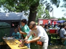 Falunap 2012_95